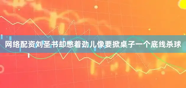 网络配资刘圣书却憋着劲儿像要掀桌子一个底线杀球