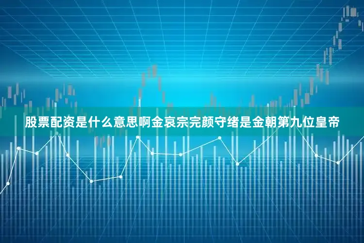 股票配资是什么意思啊金哀宗完颜守绪是金朝第九位皇帝